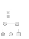 A family tree